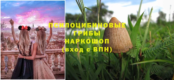 твердый Магадан