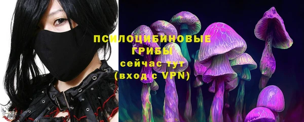 молекула духа Магас