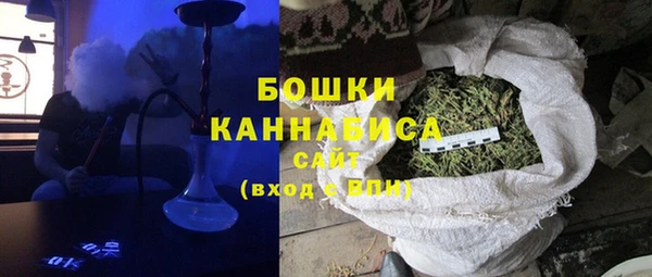 молекула духа Магас