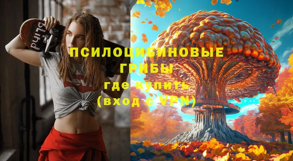 твердый Магадан