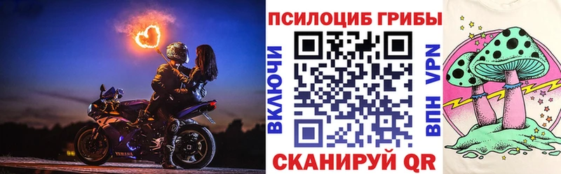 Галлюциногенные грибы Cubensis  закладки  Калуга 
